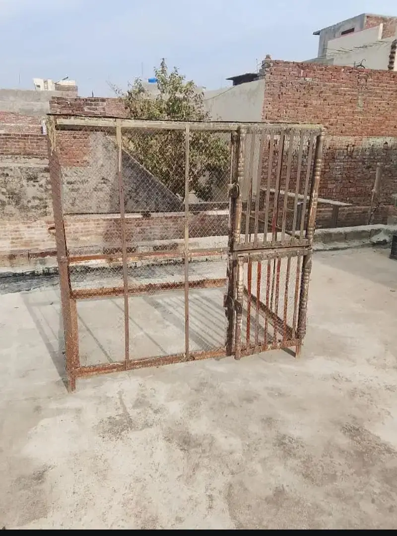 HENS HOUSE PINJRAA — photo 2
