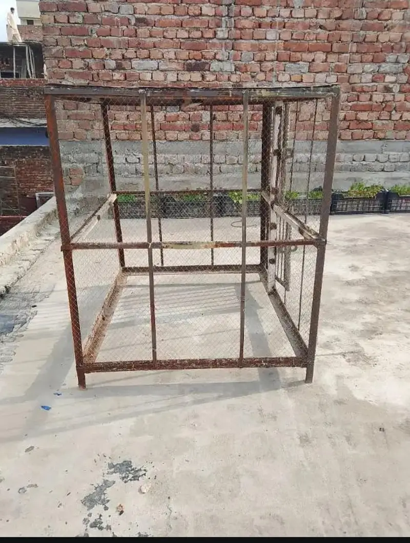 HENS HOUSE PINJRAA — photo 5