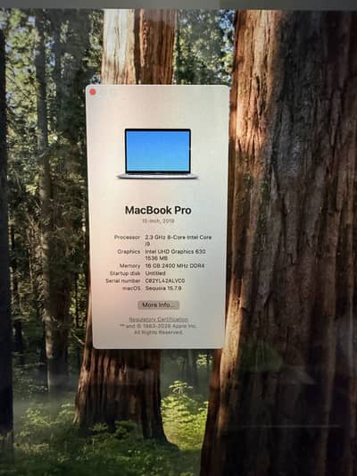 MacBook Pro 15-inch, 2019