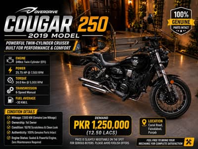 Overdrive Cougar 250 (2019) – Low Mileage | 1st Owner | Total Genuine