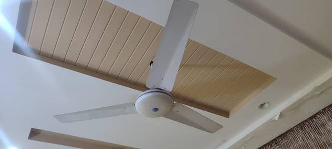 ceiling fan