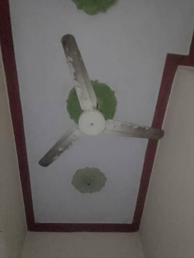 ceiling fan