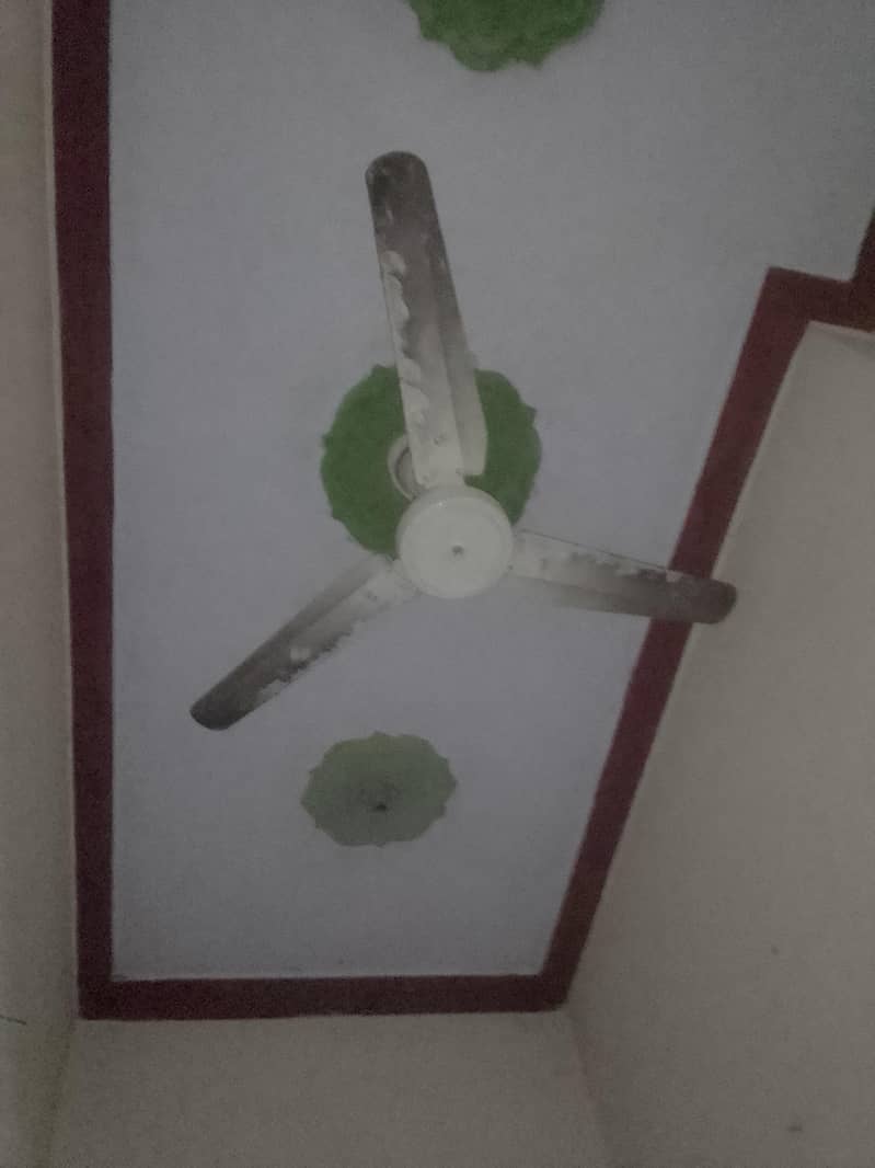 ceiling fan 1