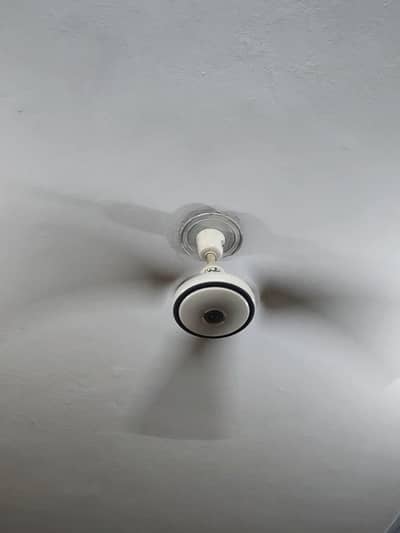 56" Ceiling Fans for sale in best condition