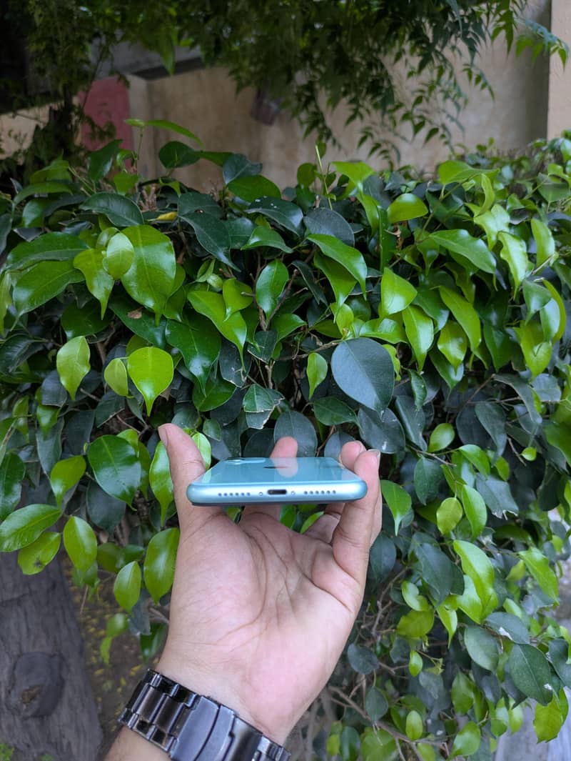 Apple iPhone 11 1