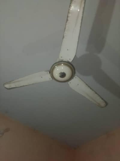 Ceiling fan