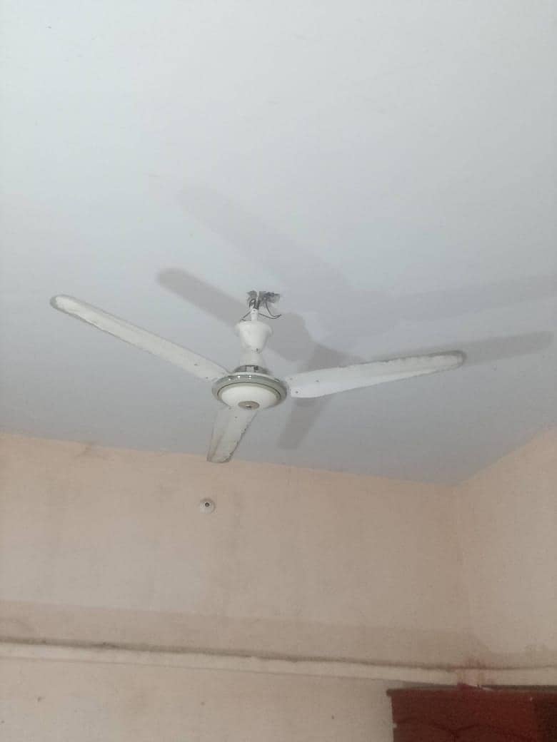 Ceiling fan 1
