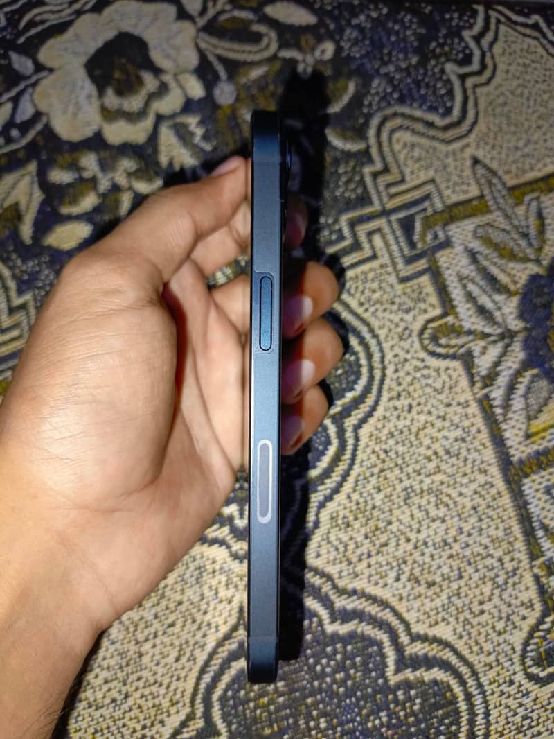 Apple iPhone 13 0