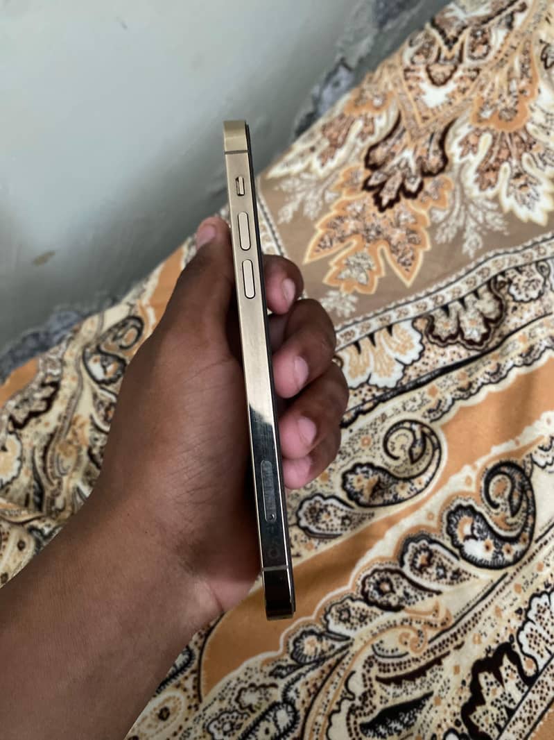 Apple iPhone 12 Pro 5