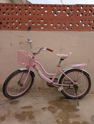 Kids Pink Bicycle for Sale (Needs Minor Maintenance