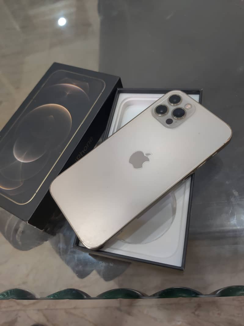 Apple iPhone 12 Pro 1