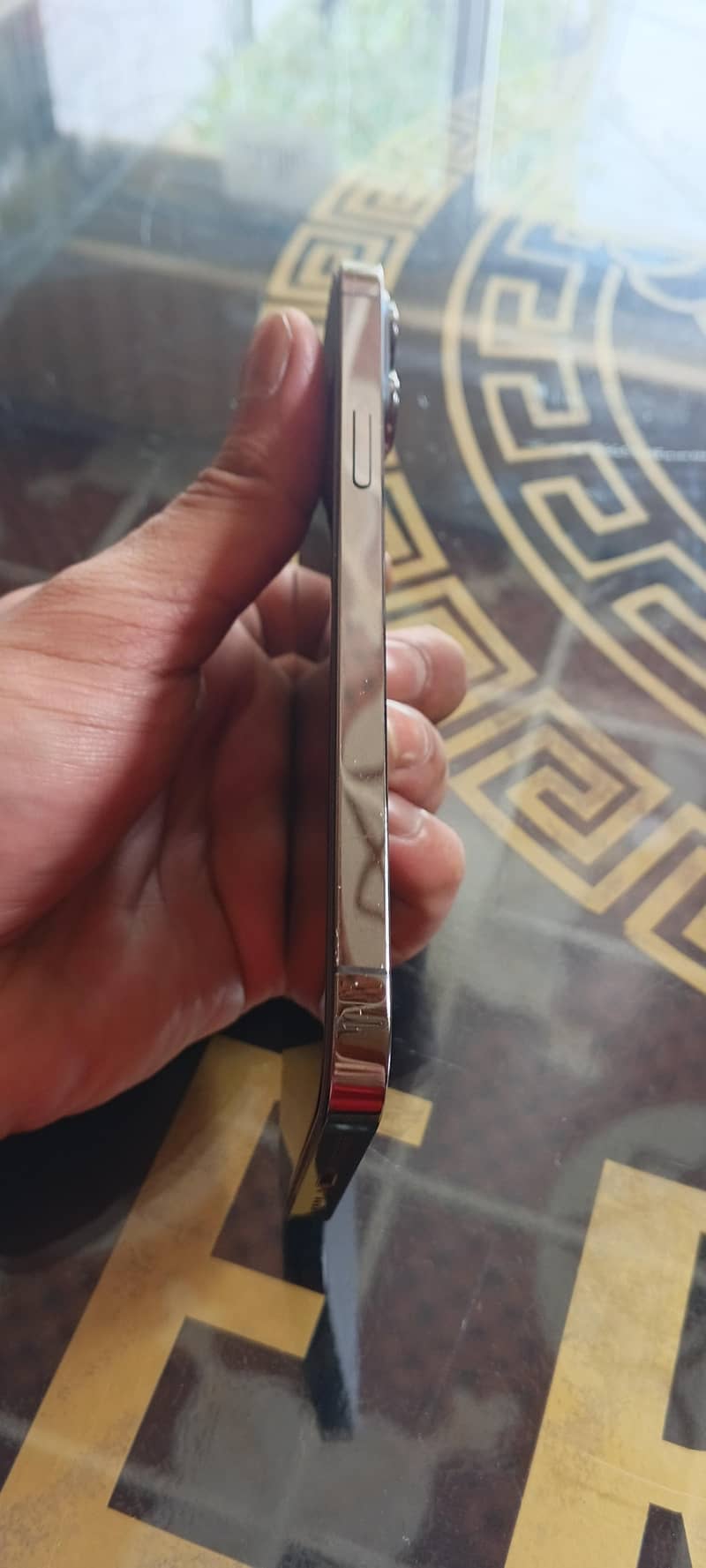 Apple iPhone 13 Pro Max 1