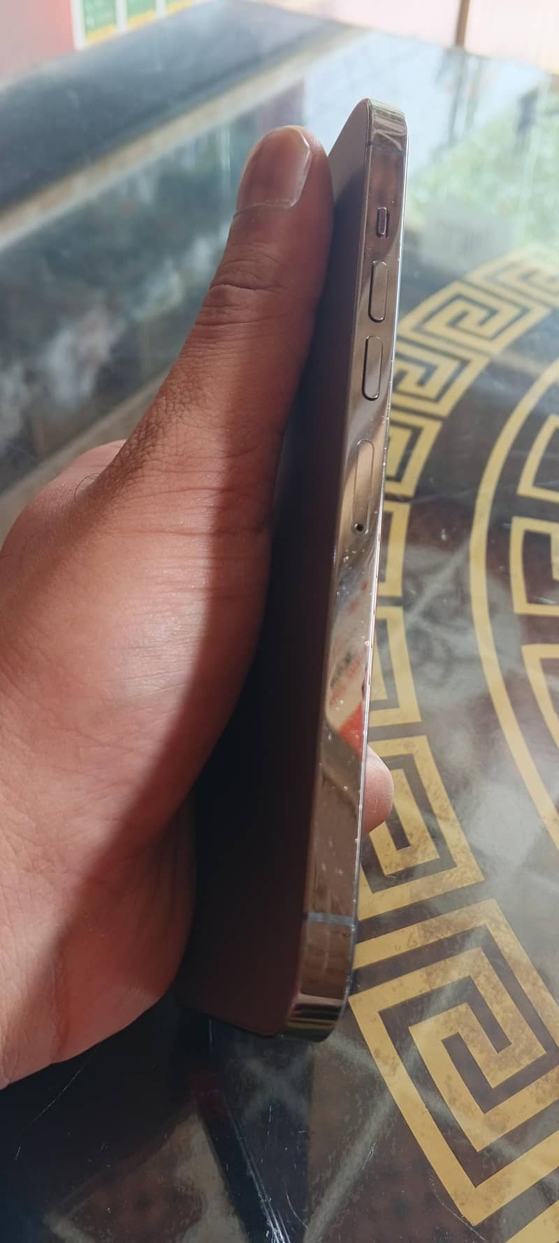 Apple iPhone 13 Pro Max 3