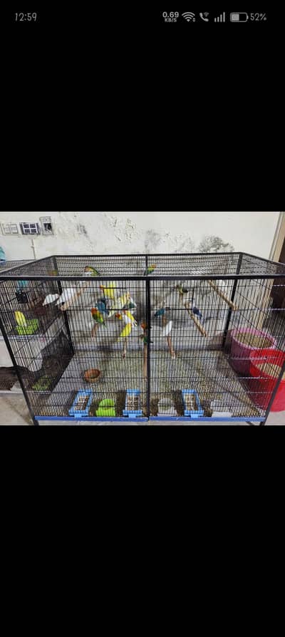 cage for sale 6x3x3