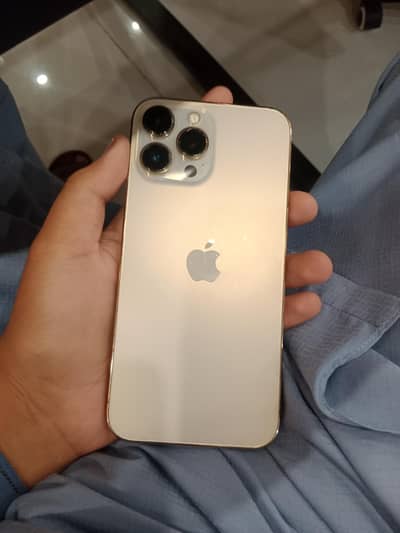 Apple iPhone 13 Pro Max