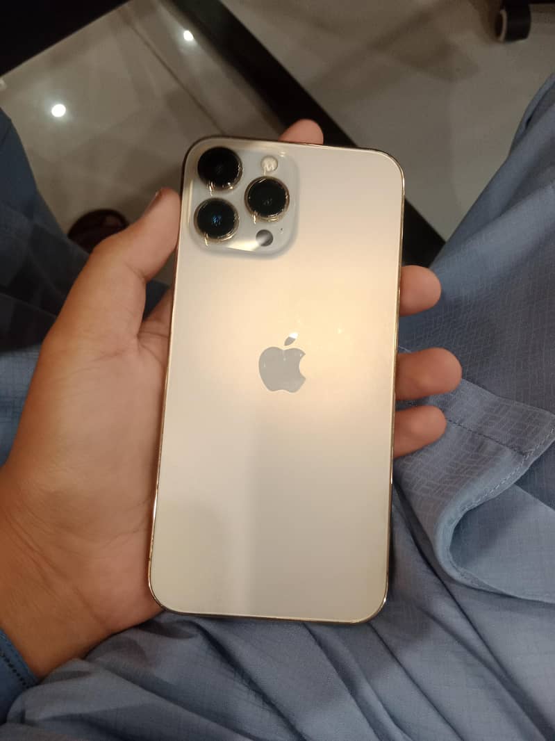 Apple iPhone 13 Pro Max 0