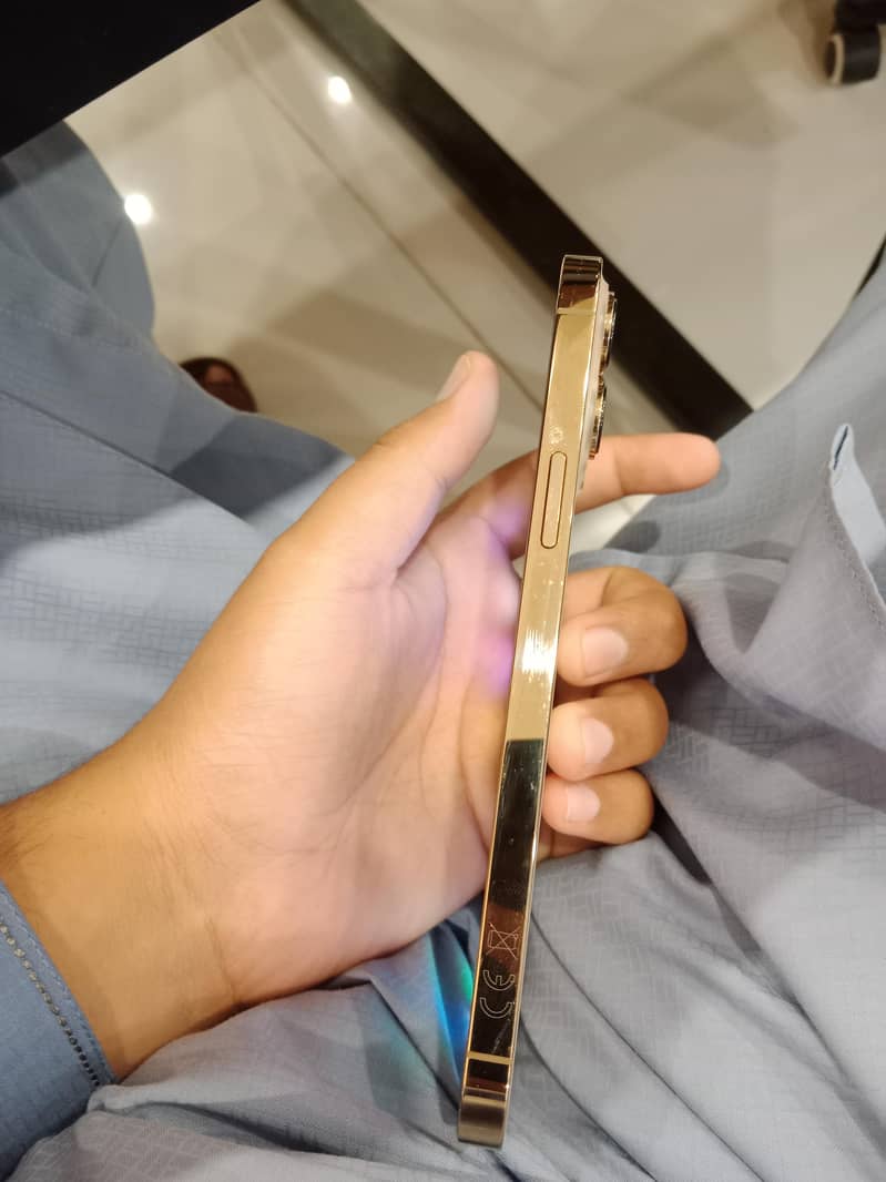 Apple iPhone 13 Pro Max 1