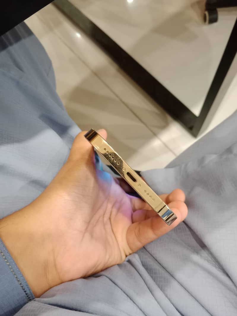 Apple iPhone 13 Pro Max 2
