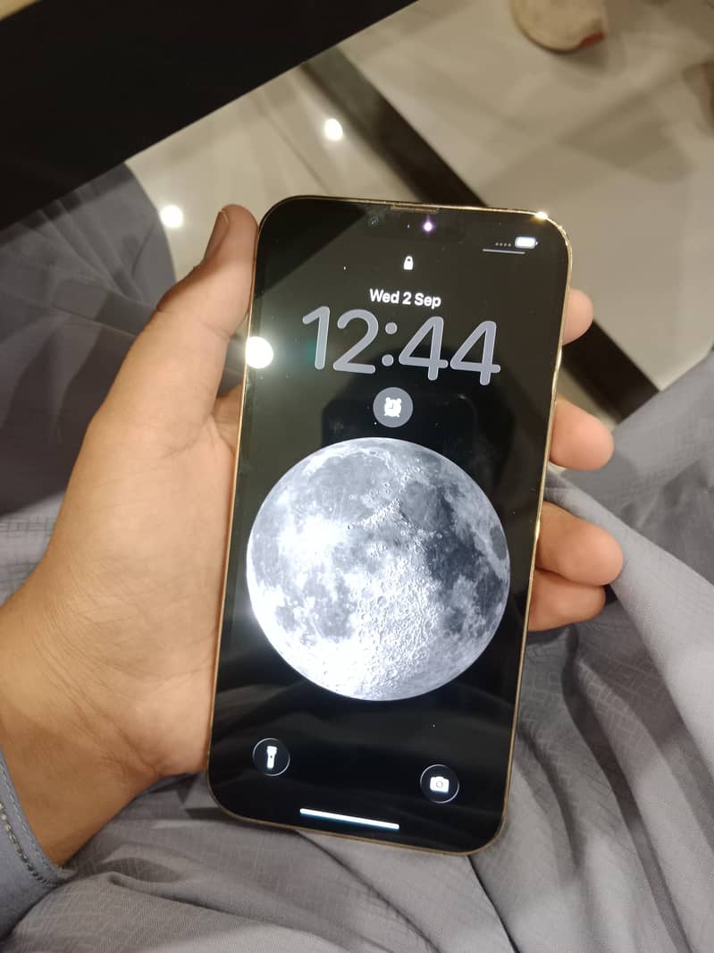 Apple iPhone 13 Pro Max 3