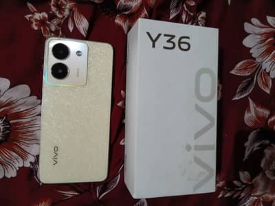 Vivo Y36