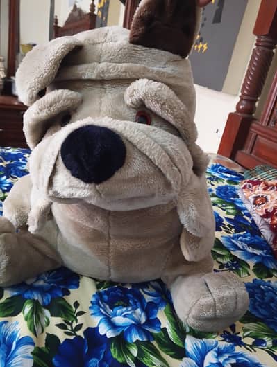 Dog 