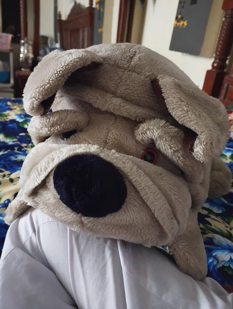 Dog  1