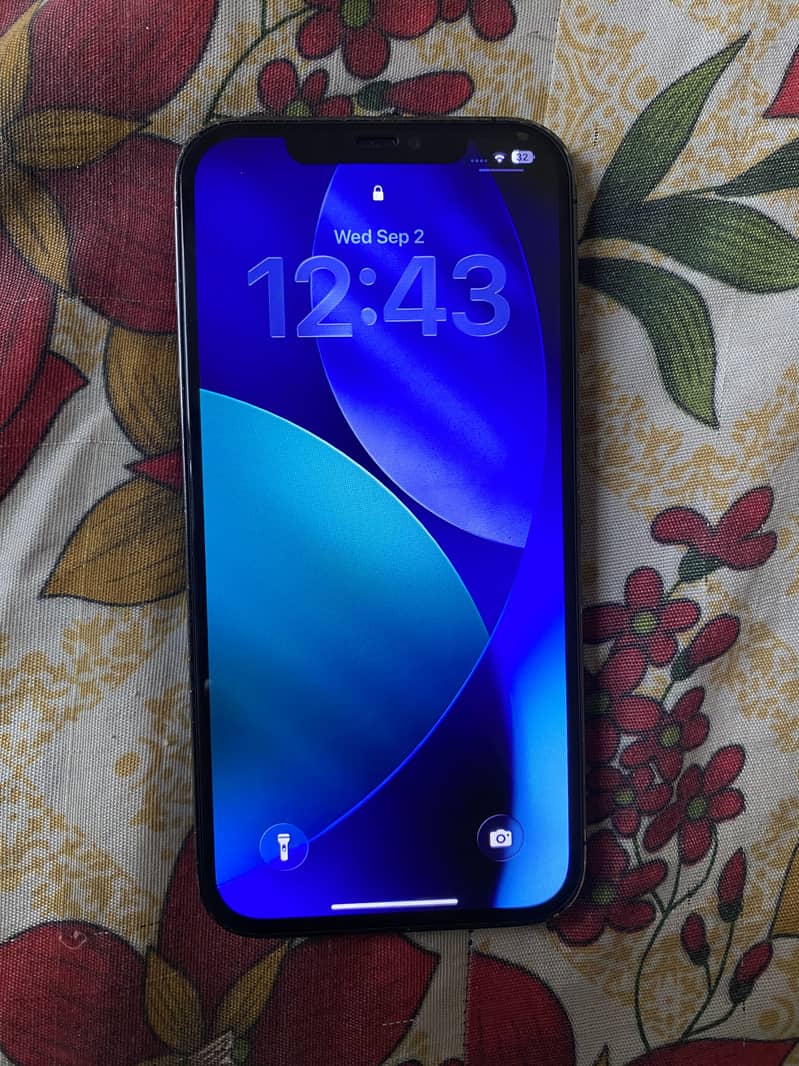 Apple iPhone 12 Pro Max 1