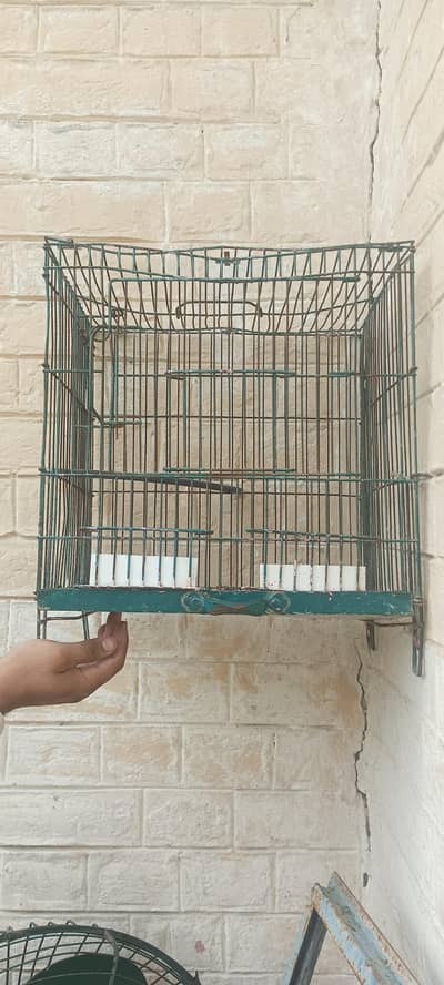 empty small cage
