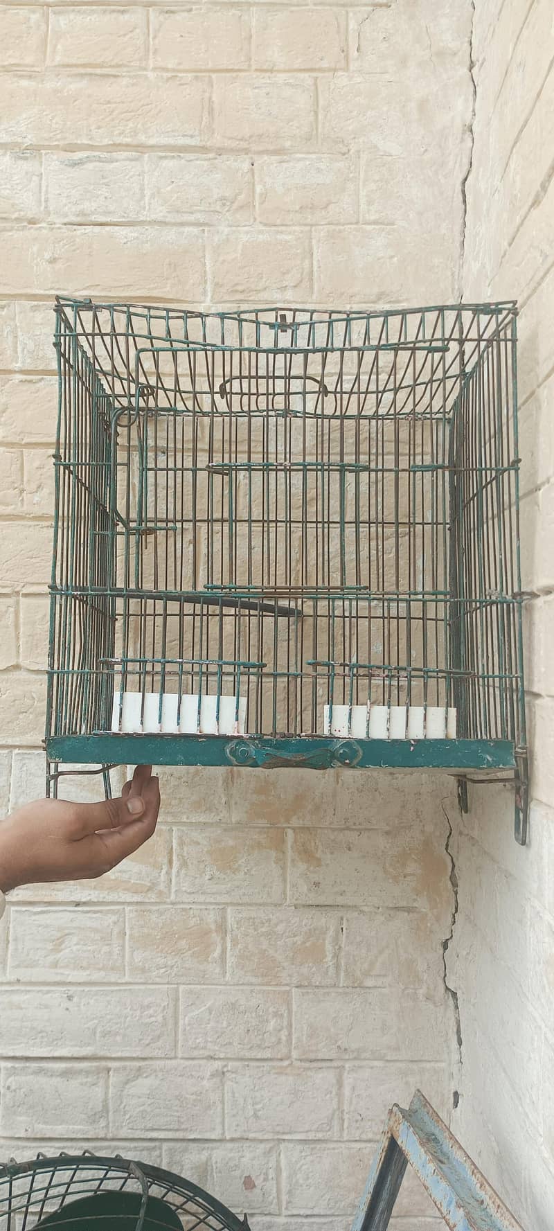 empty small cage 0