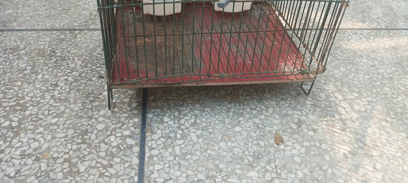 empty small cage 1