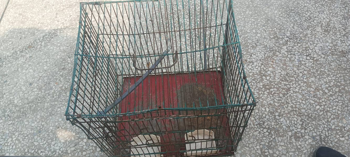 empty small cage 2