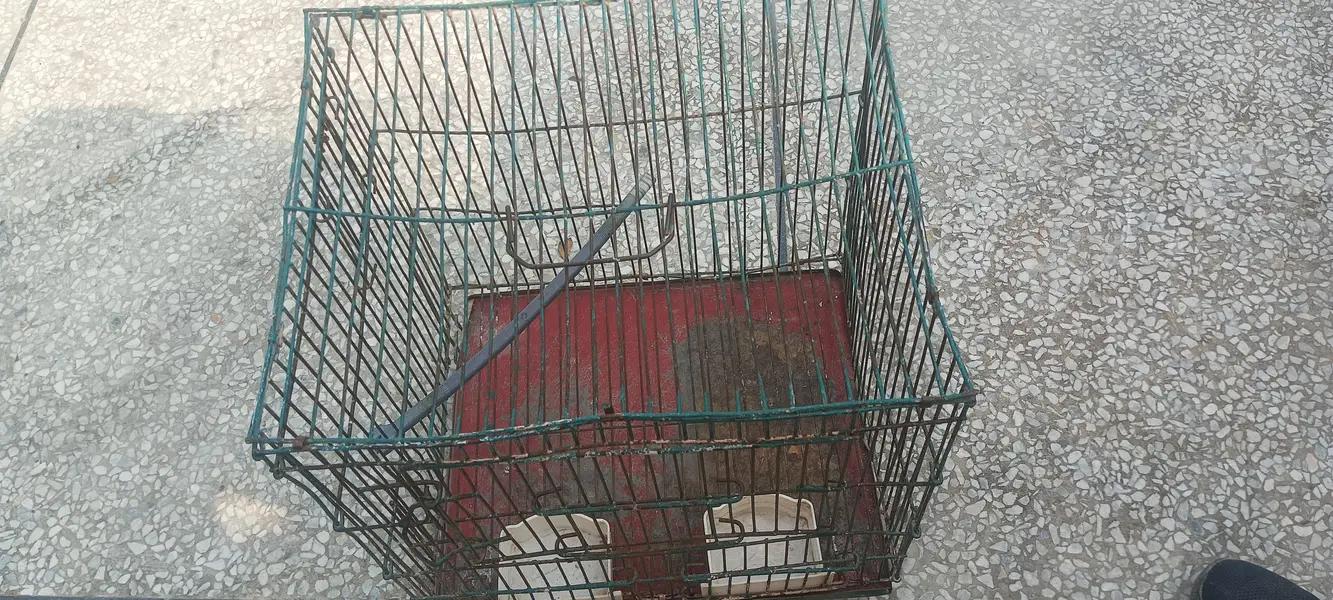 empty small cage — photo 3