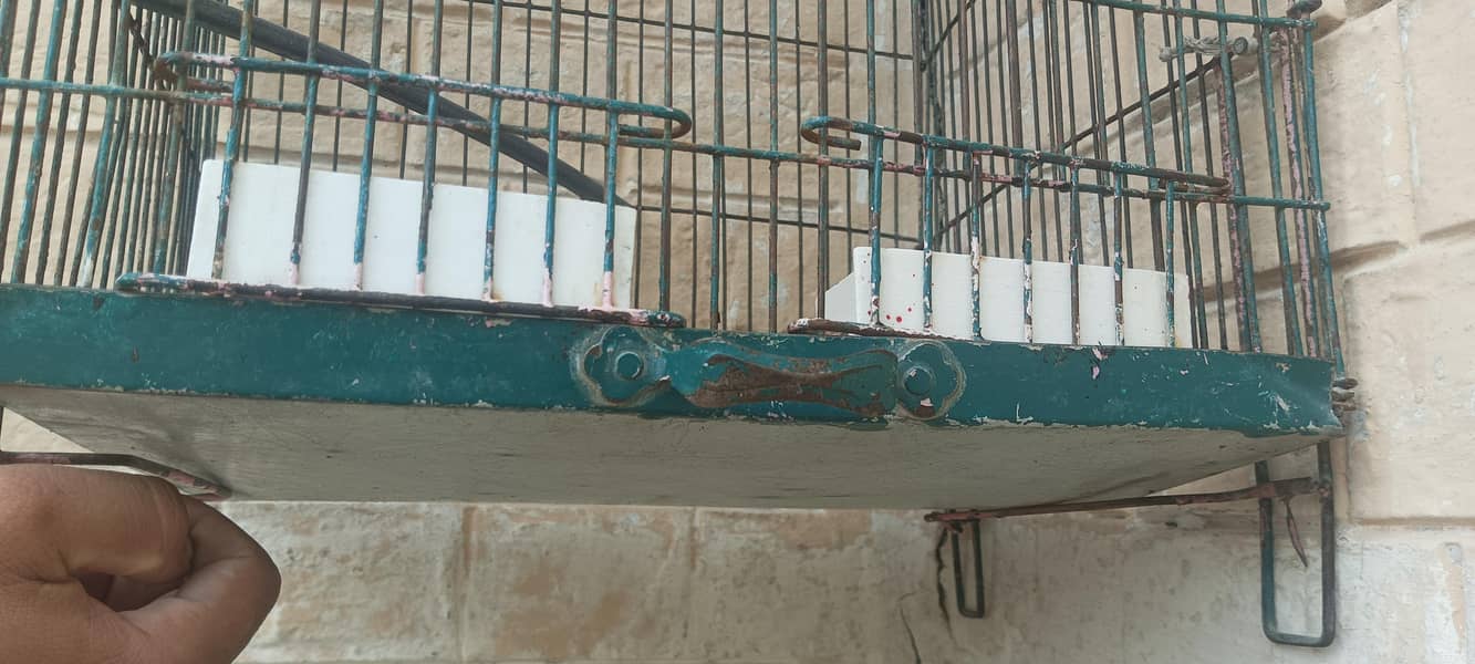 empty small cage 3