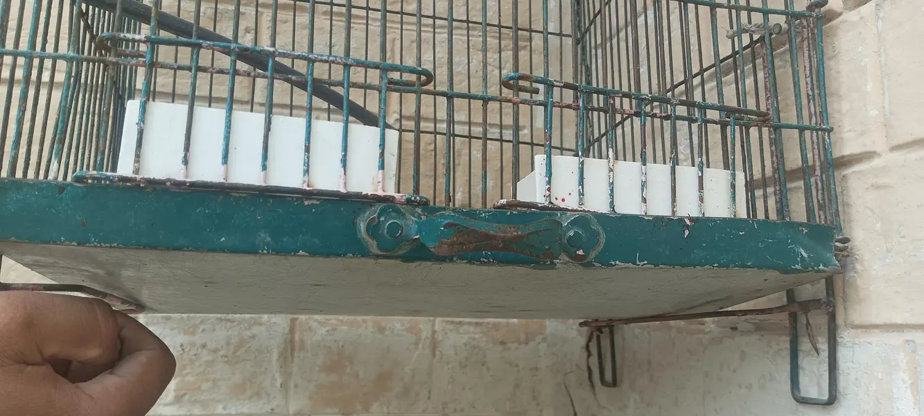 empty small cage — photo 4