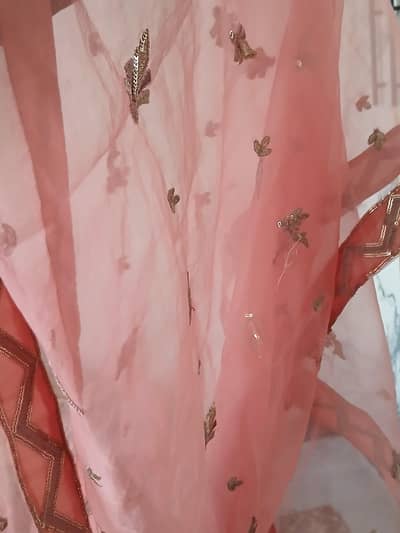 frog type formal dress brand new