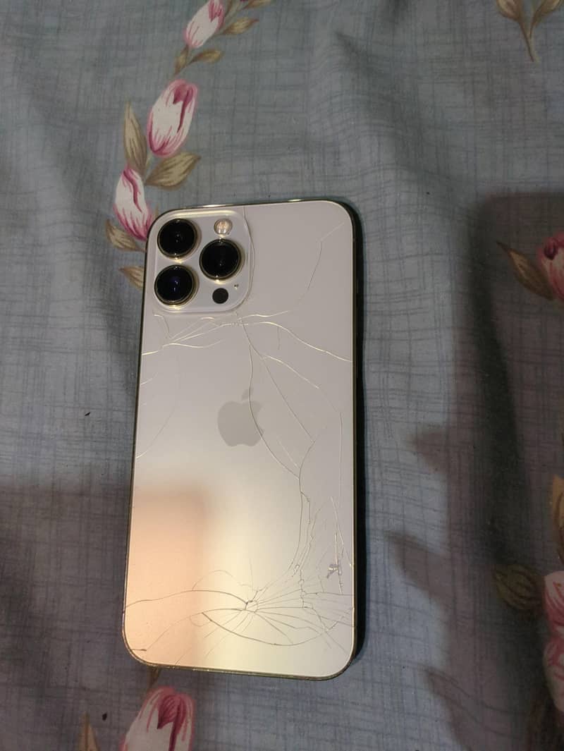 Apple iPhone 13 Pro Max 1