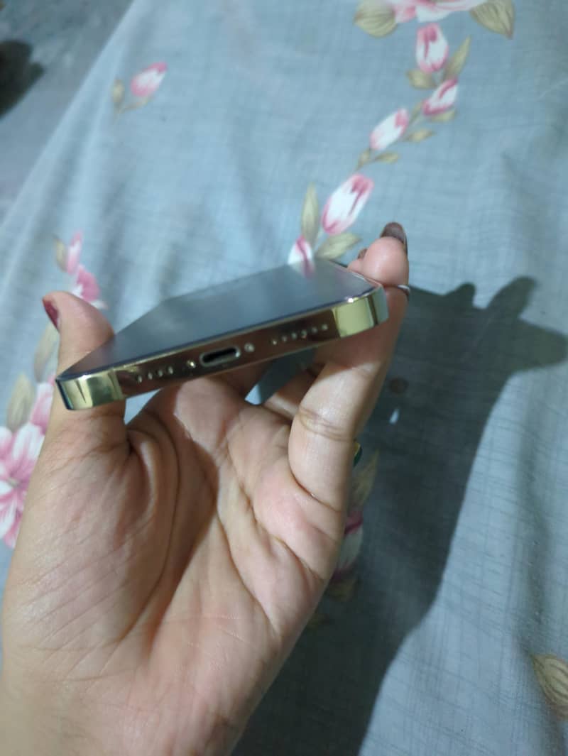 Apple iPhone 13 Pro Max 2