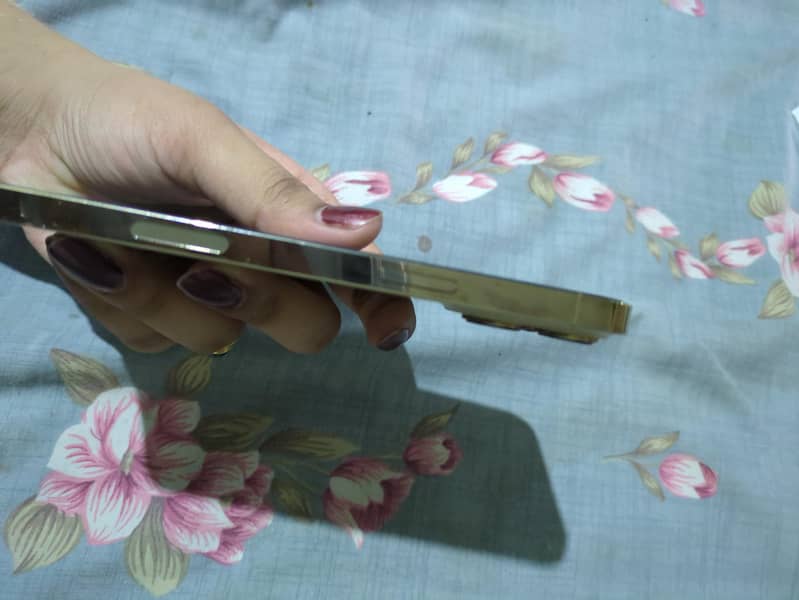 Apple iPhone 13 Pro Max 3