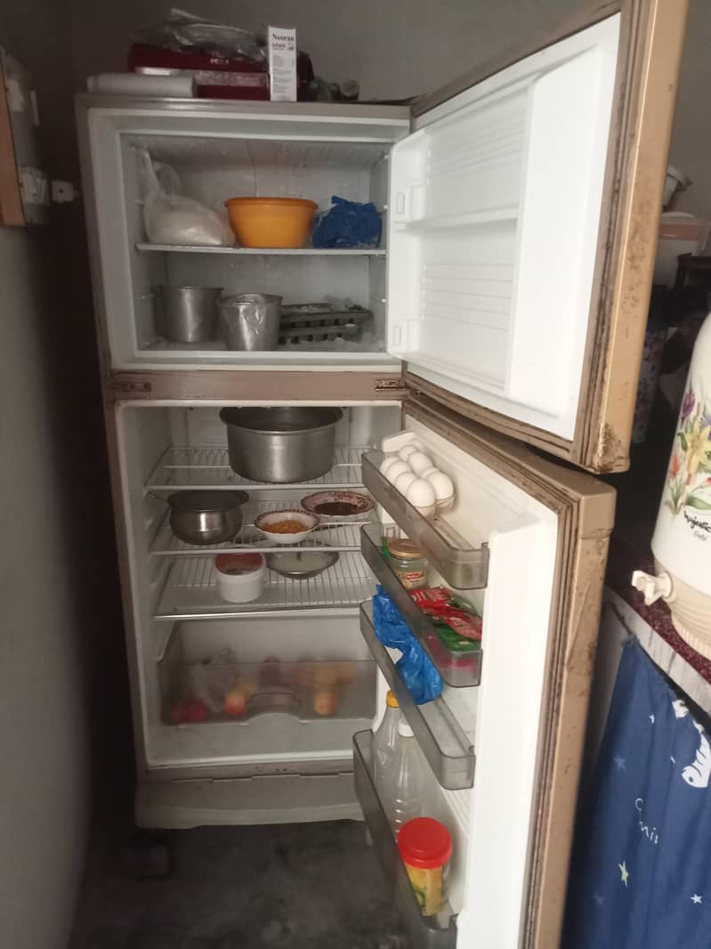 freezer 1