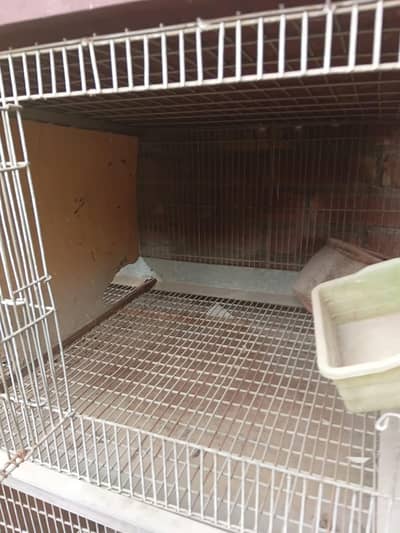 3 florr cages for chickens width 4.7 inch HEIGHT 7.3 INCH