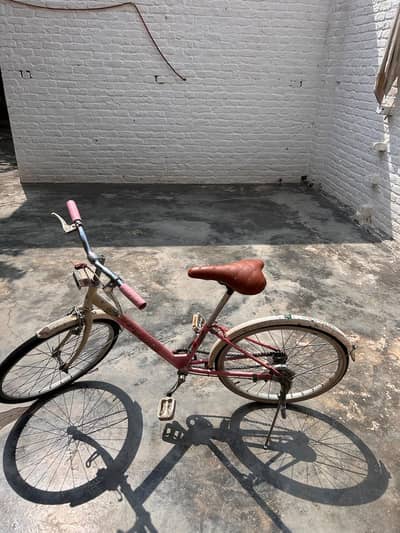 Japani Cycle For sale