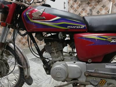 best in riding