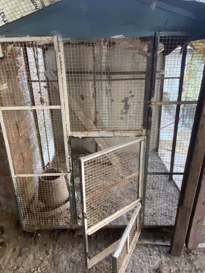 Bird 2 cages for sale