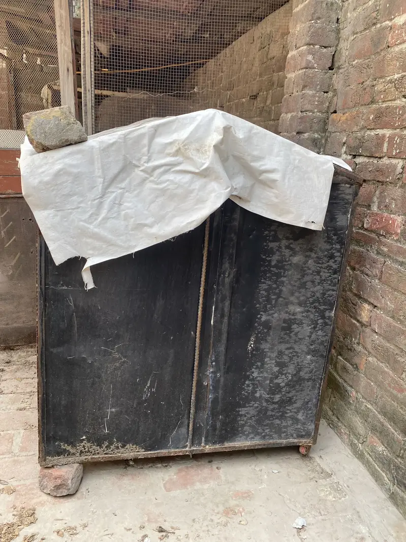 Bird 2 cages for sale — photo 3