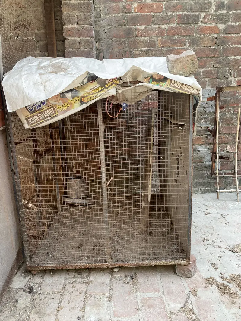 Bird 2 cages for sale — photo 6
