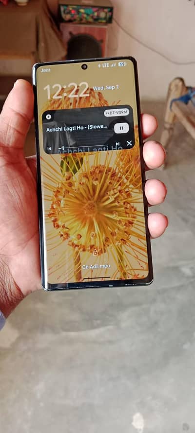 Google Pixel 6 Pro panel change