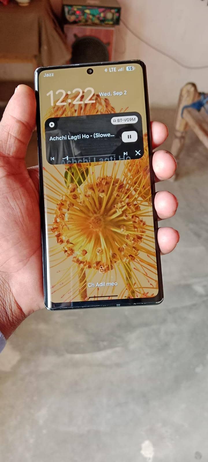 Google Pixel 6 Pro panel change 0