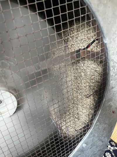 Air cooler