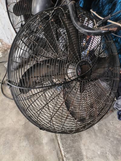 4 bracket fans