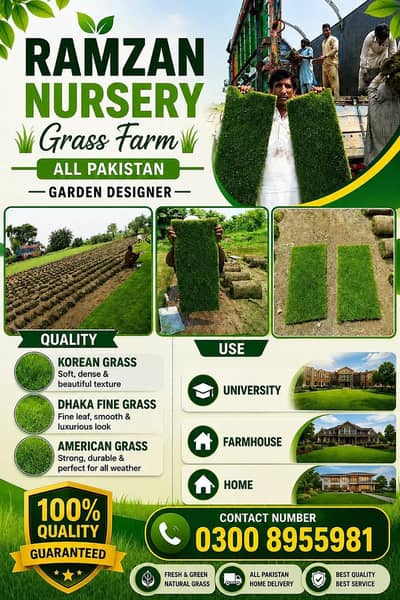 Natural Grass, Lawn Grass, Turf Grass, Garden Grass, Landscape Design